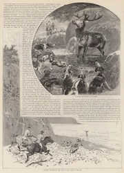 Die Jagd auf den wilden Rothirsch auf Exmoor